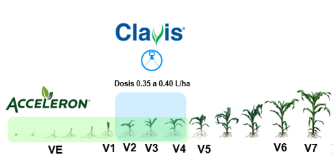 Recomendaciones de aplicacion de Clavis